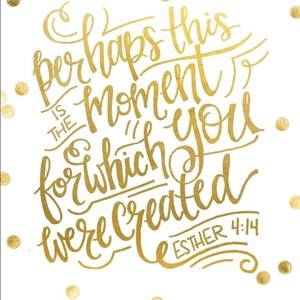 Meet your Posher, Cher